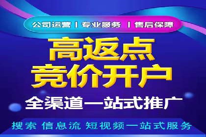 百度竞价代理的客户案例：如何实现ROI最大化